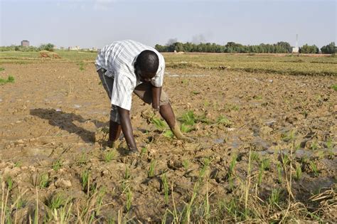  La Révolte des Hommes de l'Eau du Siam; Une Lutre pour le Pouvoir et la Terre